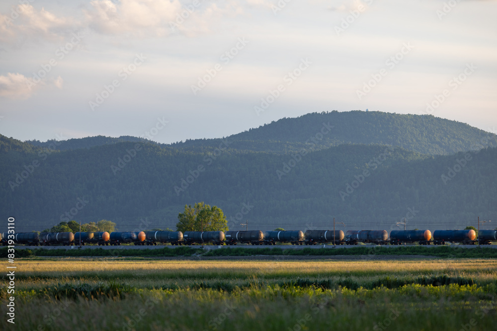 Train on tracks near grassy area with distant mountains Train on tracks near grassy area with distant mountains