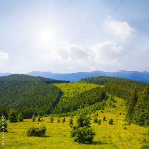 wide green mountain valley under a sparkle sun