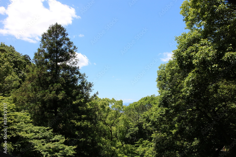 初夏の山 青空ハイキング 初夏の山 青空ハイキング