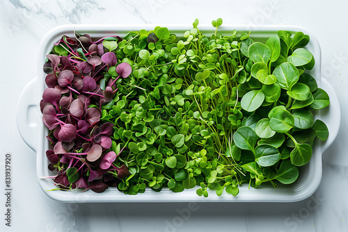  microgreens in a tray on a white isolated background