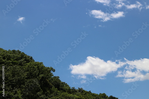 初夏の山　青空ハイキング