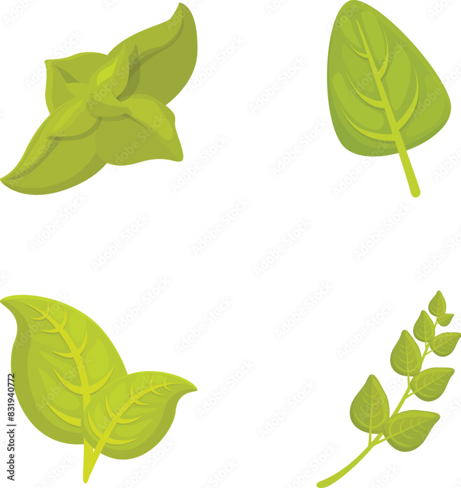 Green basil icons set cartoon vector. Basil stem with leaf. Healthy herbal plant