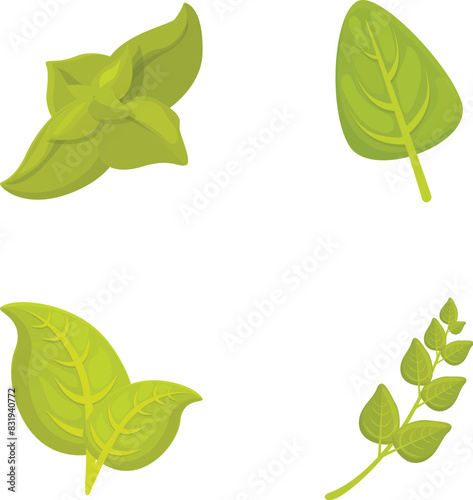 Green basil icons set cartoon vector. Basil stem with leaf. Healthy herbal plant