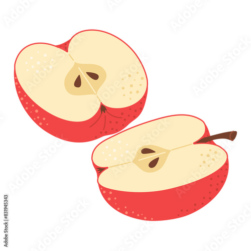 Red apple cut in half. Two piece of red fruit with seeds. Apple half icon. Isolated on white. Hand drawn Trendy flat style. Healthy vegetarian snack, cut apple for design. Vector illustration