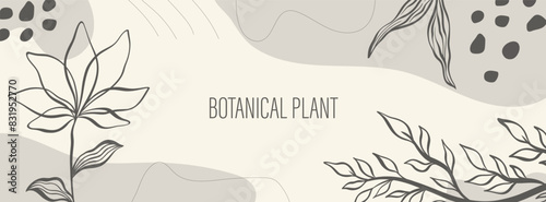 Design banner plant nature hand drawn. Plant botanical element.Elegante vintage style.