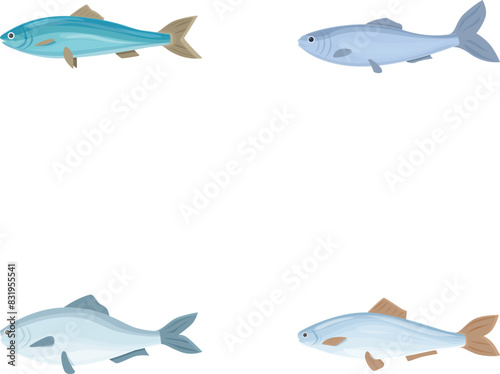 Herring icons set cartoon vector. Fresh raw edible cartoon fish. Seafood