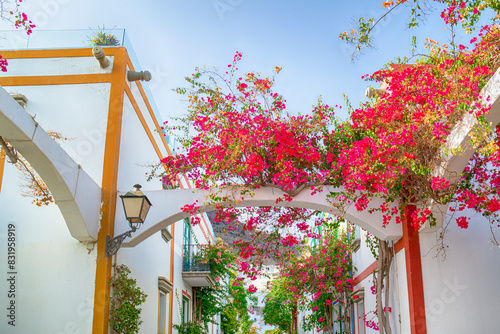 Summer Flowery Blooming Street in the Harbor Area of Puerto de Mogan at Daytime at Gran Canaria in Spain Called a Little Venice of the Canaries.