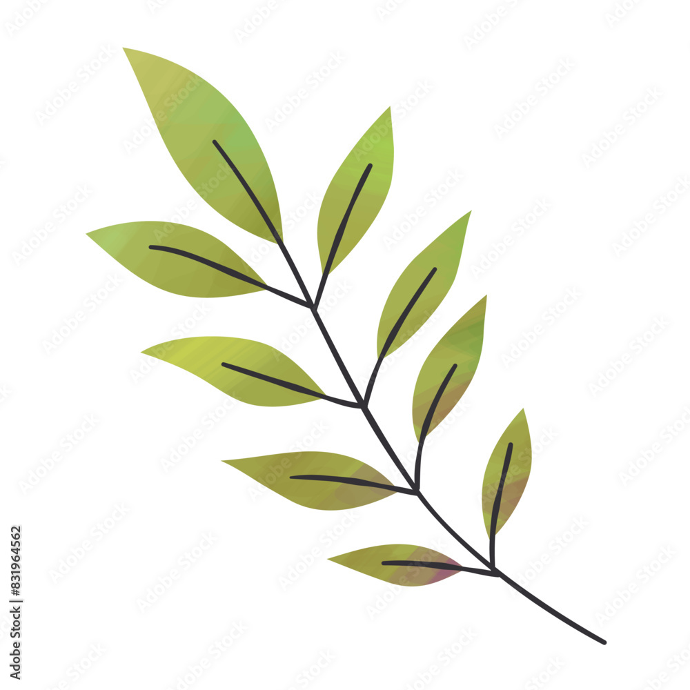 Fototapeta premium Green autumn leaves with branch