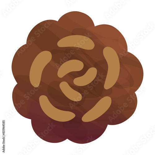 Overlook of pine cone