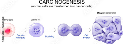 Carcinogenesis from Genetic mutations to Malignant cancer