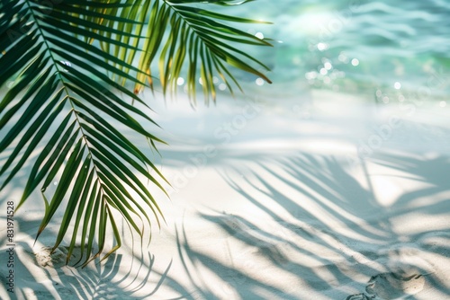 palm leaf shadow on abstract white sand beach background  sun lights on water surface  beautiful abstract background concept banner for summer vacation at the beach. ai generated