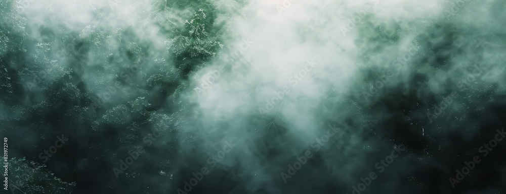 Intense close-up of dense fog rolling over a dark forest floor Intense close-up of dense fog rolling over a dark forest floor