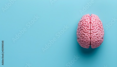 Top view of a pink brain on a pastel blue background with space for copy  copy space for text  minimalist background  educational  wisdom  marketing  idea background  illustration photo