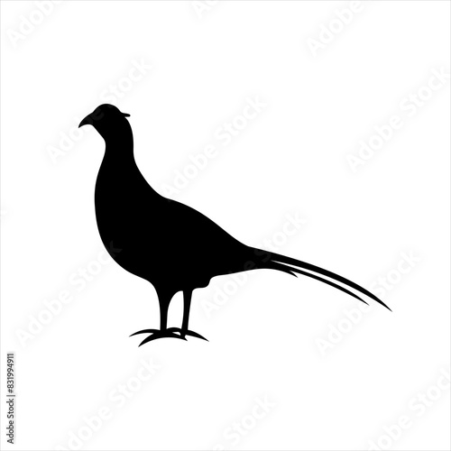Pheasant silhouette solid icon vector. The pheasant icon. Hunting concept. Game meat sign on white background. Pheasant meat badge. Hunting illustration. Hunt logo