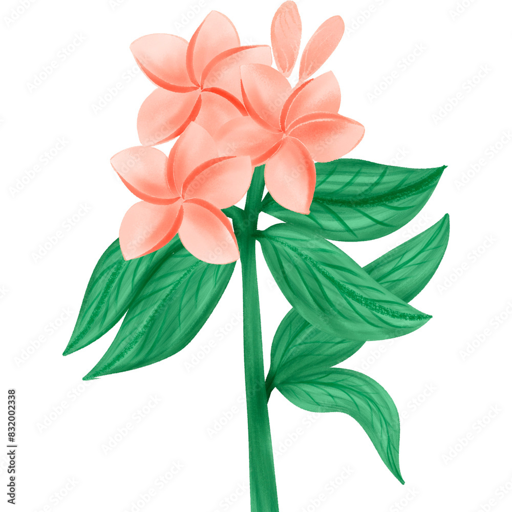Flower floral Clipart element Illustation style Flower floral Clipart element Illustation style