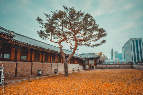 Obraz na płótnie the side doors and walls of Gyeongbokgung Palace w salonie