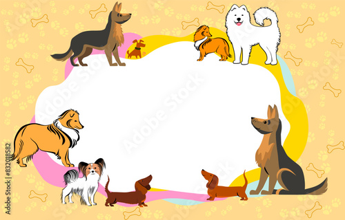 Dog pet care diploma or certificate vector template with cartoon zoo shop items for puppies. Award frame template with dogs. Certificate template. flat vector. Diploma of dog show. Best of the Breed
