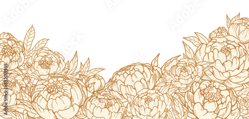 Outlined floral drawing. Contoured flower blossom in vintage retro style. Peonies, engraved etching. Detailed hand-drawn garden blooms. Botanical vector illustration isolated on white background