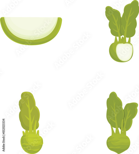 Collection of fresh vegetables illustration set with cucumber, bok choy, and sliced green vegetables in vector graphic design, isolated and editable for cooking, vegan, and ecofriendly agriculture
