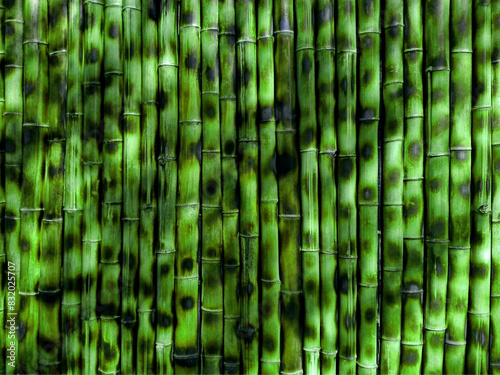 Green bamboo wall fence background  asia traditional pattern texture. Fresh forest lime color bamboo stick green background. Bamboo green jungle tropical background as interior or exterior bambu decor