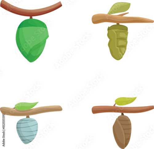 Illustration collection showing different stages of a butterfly lifecycle with cocoons