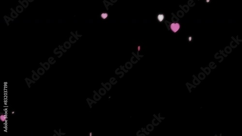 Animated Pink and White heart shaped particles, Pink and White Heart Bokeh animation overlay, Valentine's Animation on alpha channel Background