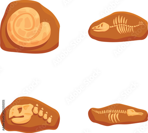 Discover the ancient world, a diverse collection of fossil illustrations for science, education, and museum exhibits