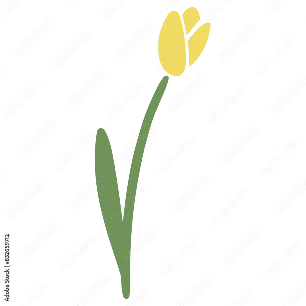 Obraz premium yellow tulip flower