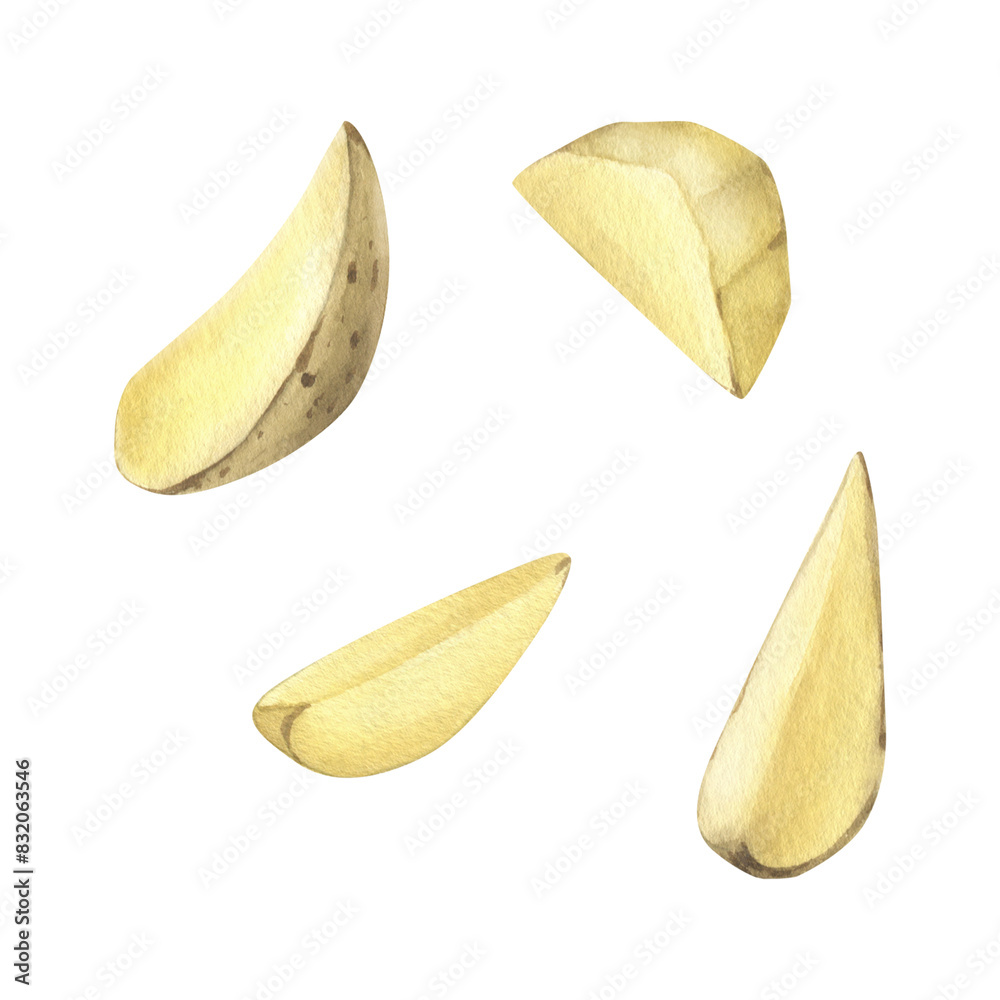 White potatoes in brown skin and peeled, cut into slices. Watercolor illustration, hand drawn on the theme of harvest, cooking, food, vegetable shop design. Set of elements isolated from background. White potatoes in brown skin and peeled, cut into slices. Watercolor illustration, hand drawn on the theme of harvest, cooking, food, vegetable shop design. Set of elements isolated from background.