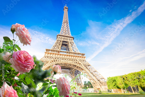 Paris Eiffel Tower with summer flowers in Paris, France. Eiffel Tower is one of the most iconic landmarks of Paris. photo