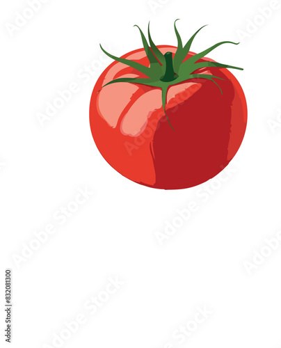 Vector fresh tomato