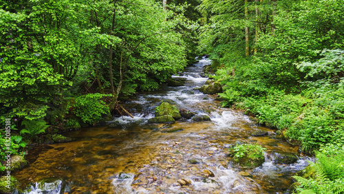 Take a look at this wild nature