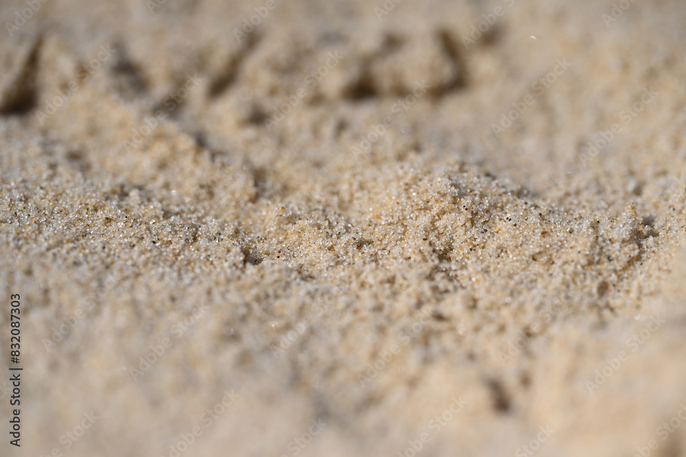 grains of sand on a beach close-up grains of sand on a beach close-up