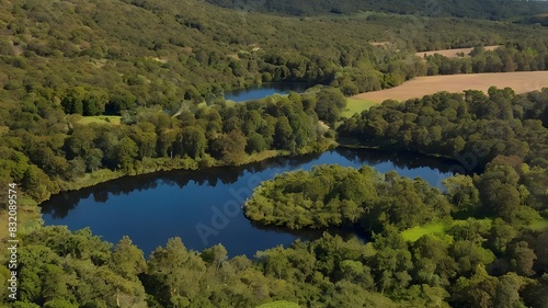 Wallpaper Mural lake in the forest Torontodigital.ca