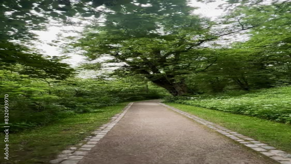 Walking on a pathway in a green park Walking on a pathway in a green park
