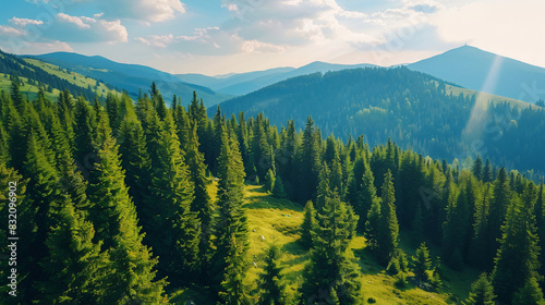 Beautiful mountain landscape with forest on sunny day.