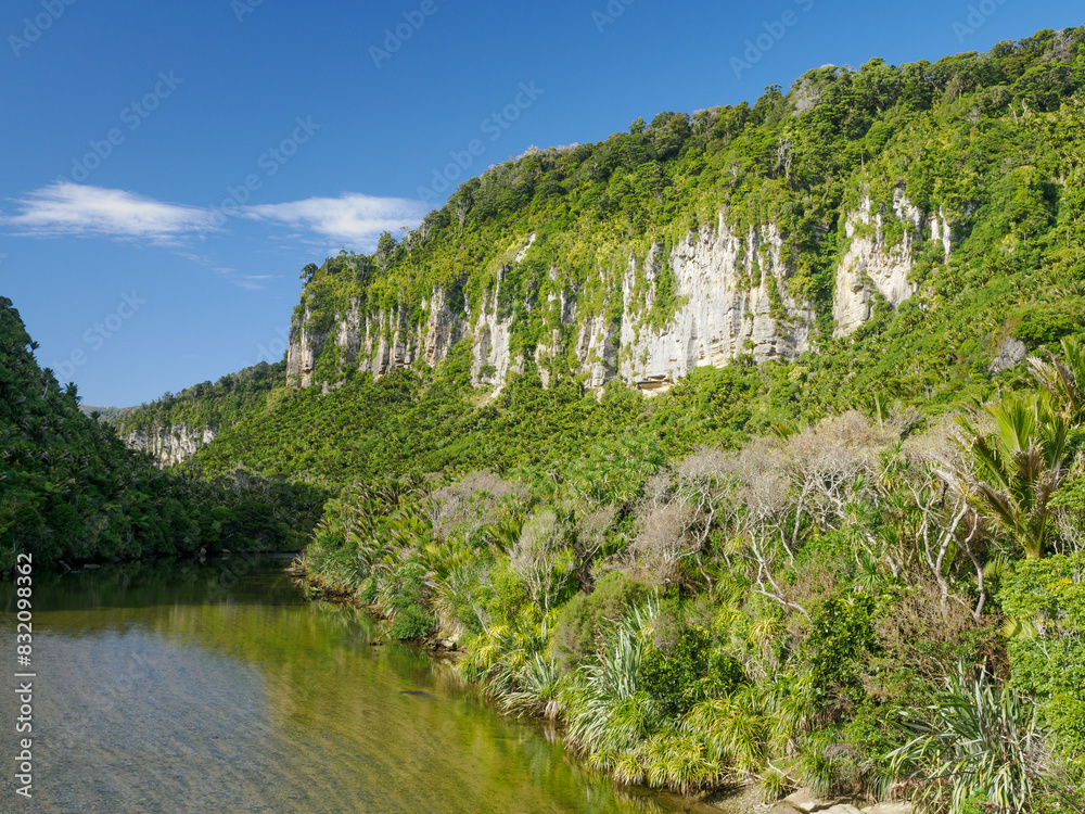 Pororari River, West Coast, South Island, New Zealand, Pacific Pororari River, West Coast, South Island, New Zealand, Pacific