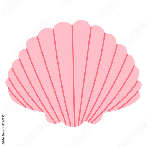 Pink shell illustration