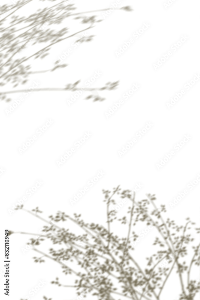 Fototapeta premium PNG floral branches shadow design element
