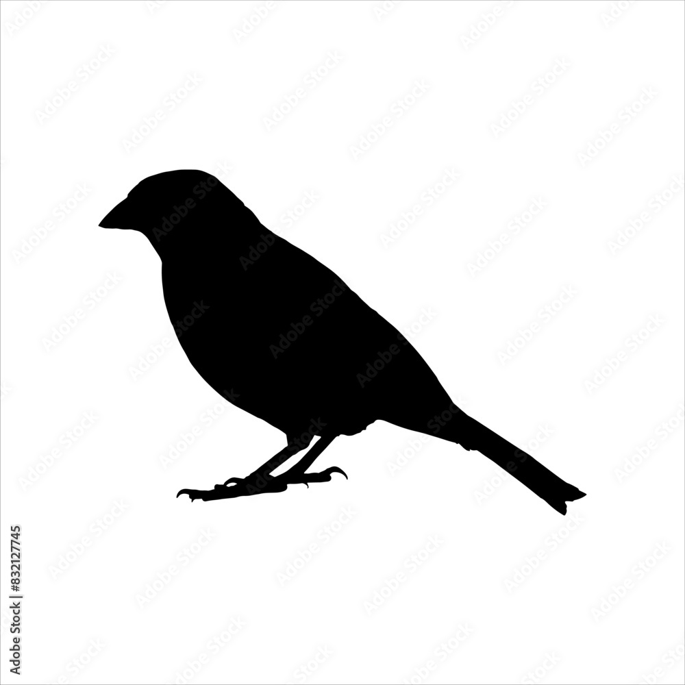 Black bird silhouette isolated on white background. Bird icon vector illustration design. Black bird silhouette isolated on white background. Bird icon vector illustration design.
