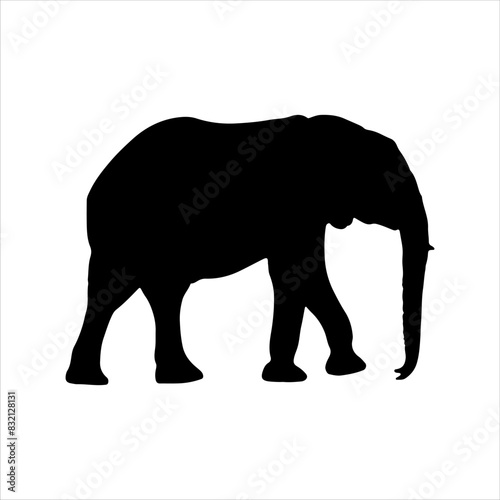 Asian elephant silhouette isolated on white background. Elephant icon vector illustration design.