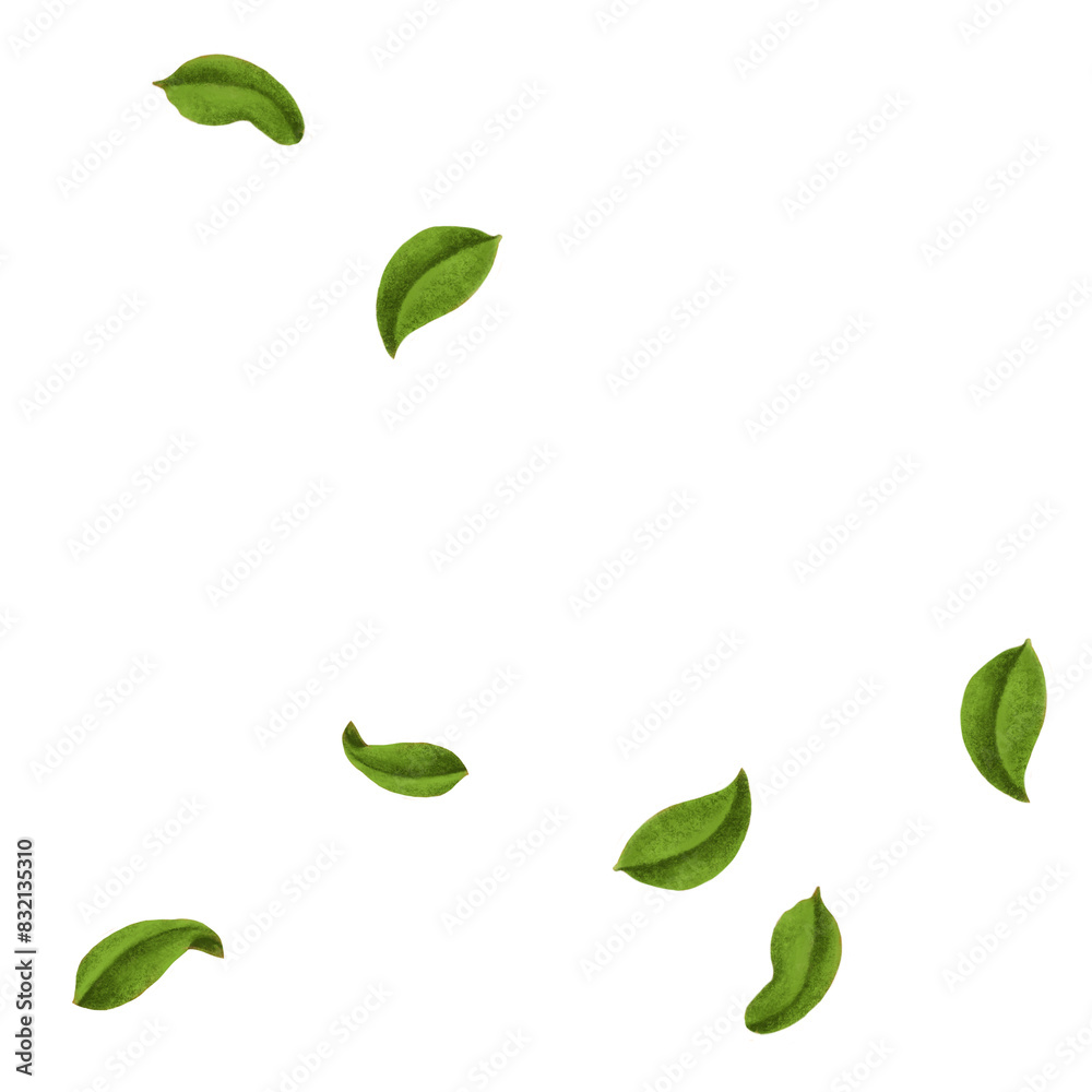 Falling peppermint png leaves, herb illustration, transparent background Falling peppermint png leaves, herb illustration, transparent background