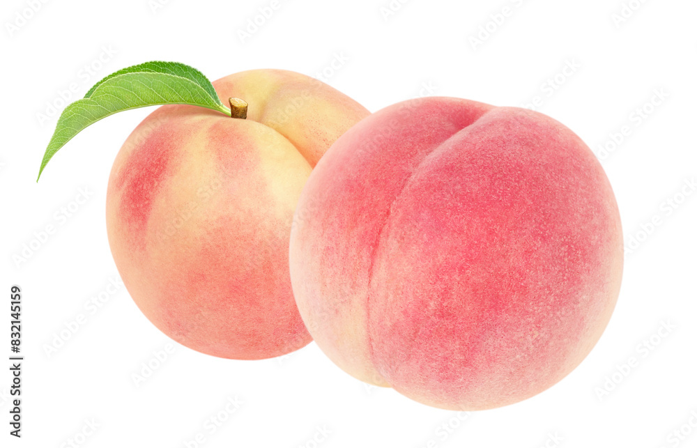 桃のイラスト リアル 白バック