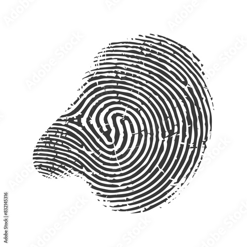 Cracked Fingerprint: Unique Identity, High Resolution, Detailed Lines on White Background.