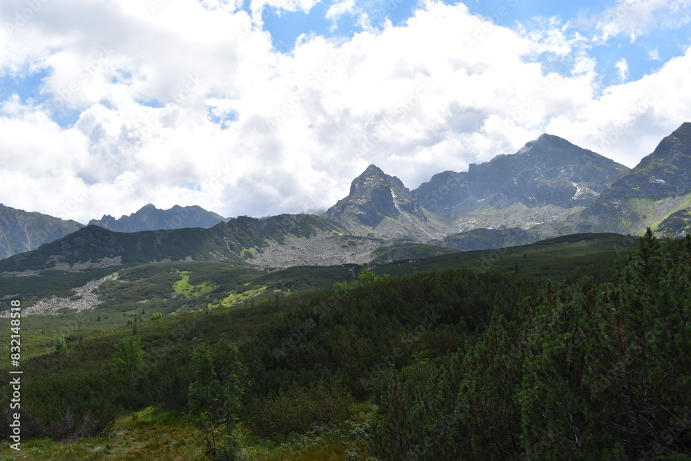 Fototapeta premium Landscape in the mountains