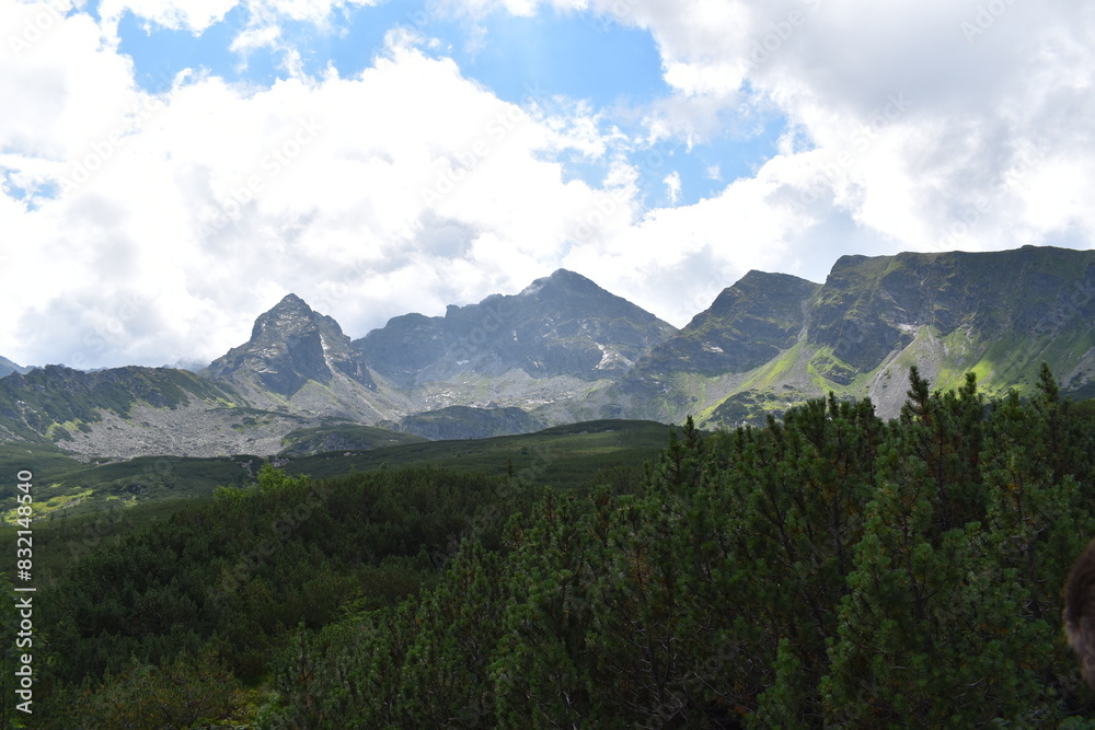 Obraz premium Landscape with mountains