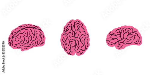 Set of flat icons to the human brain. Silhouette of the human brain from different angles isolated on a white background. Concept of mental health and psychological stability.