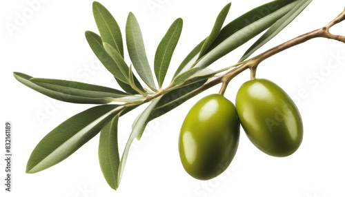 Wallpaper Mural Two fresh green olives on a branch with olive leaves isolate on transparent background, png, cutout Torontodigital.ca