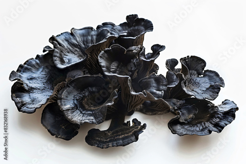 a bunch of black mushrooms on a white surface photo