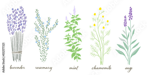 herb